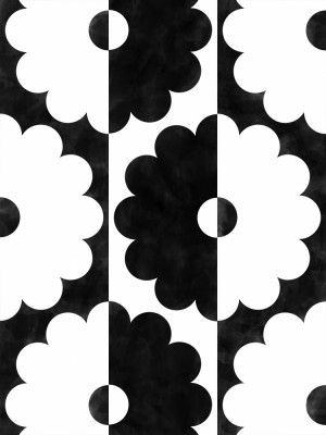 Petal Contrast Dance