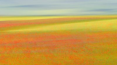 Castelluccio Colors