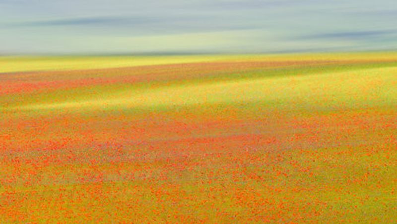 Castelluccio Colors