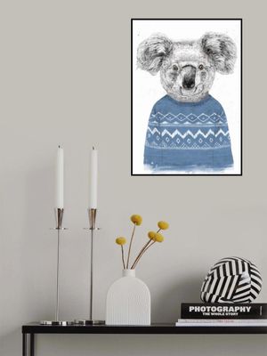 Winter koala (blue)