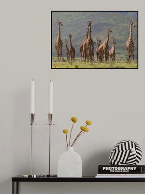 Giraff family