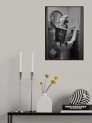 Parrot In the Toilet