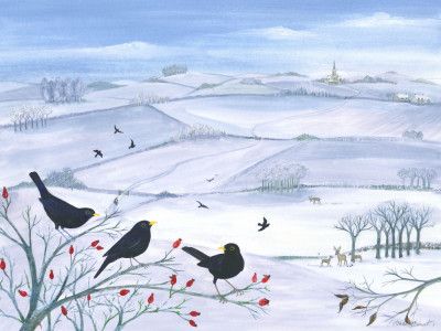 Blackbirds In Winter