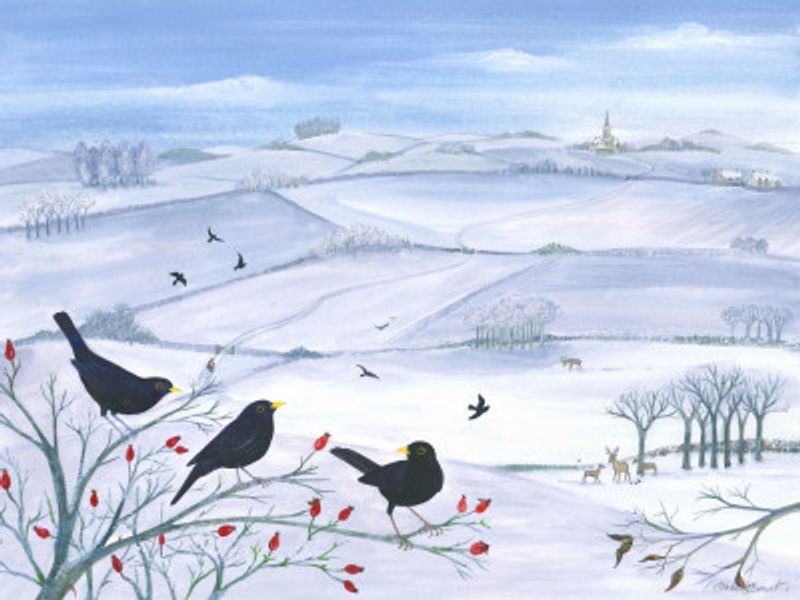 Blackbirds In Winter