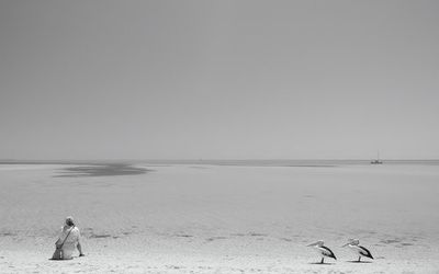 Fishy, Fishy, Fishy!