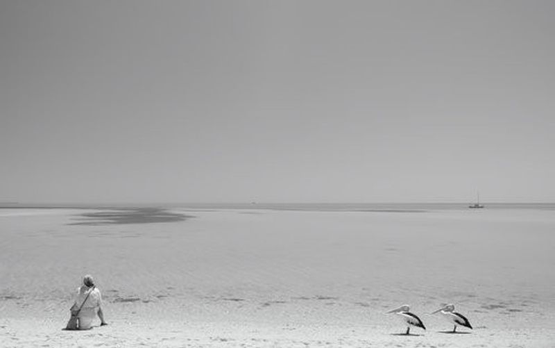 Fishy, Fishy, Fishy!