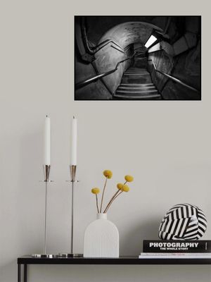 Down The Rabbit Hole