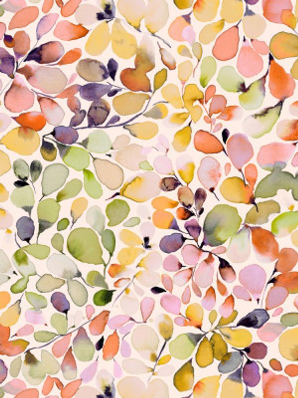 Eucalyptus Leaves Yellow