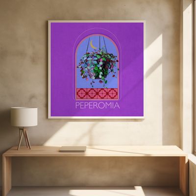 Green Sets Peperomia