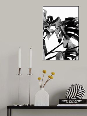 Monstera Black and White 06
