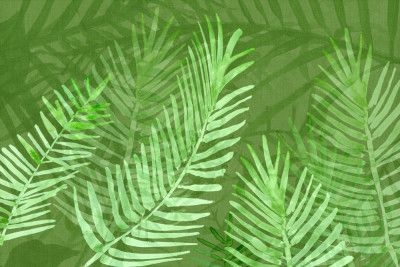 Botanicals In Bloom 3