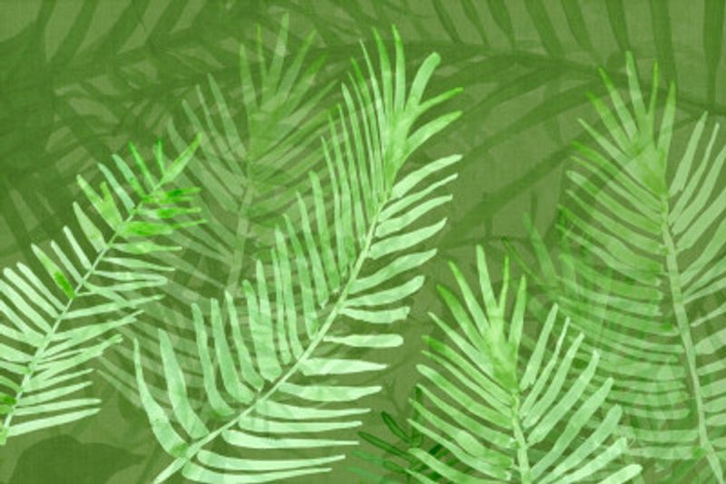 Botanicals In Bloom 3