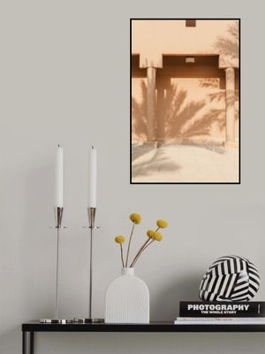 Shadow Of A Palm Tree On A Mud Wall