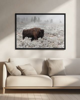 Late Fall Yellowstone