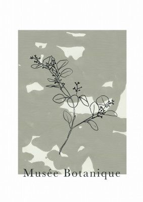 Abstractbotanicsno16