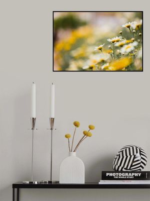 Vibrant Floral Flowers