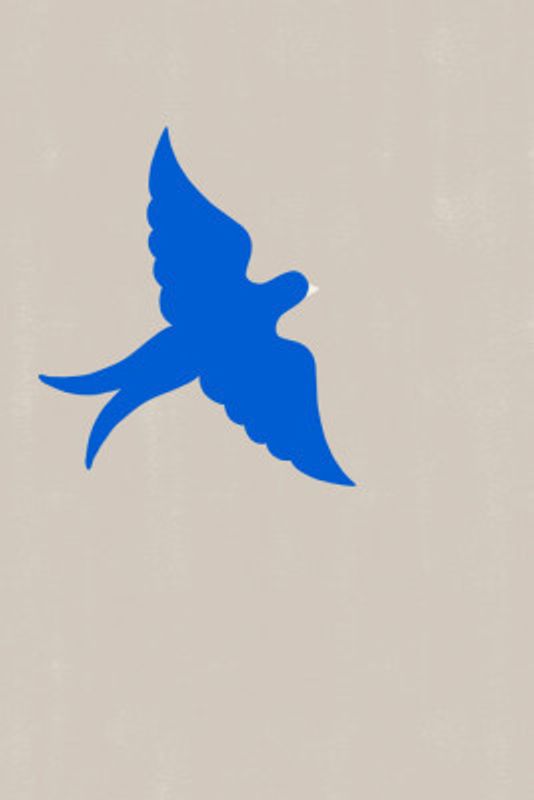 Bluepigeon