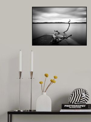 Branch long exposure lake