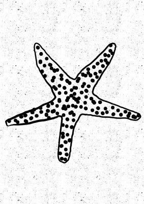 Black And White Dotted Starfish