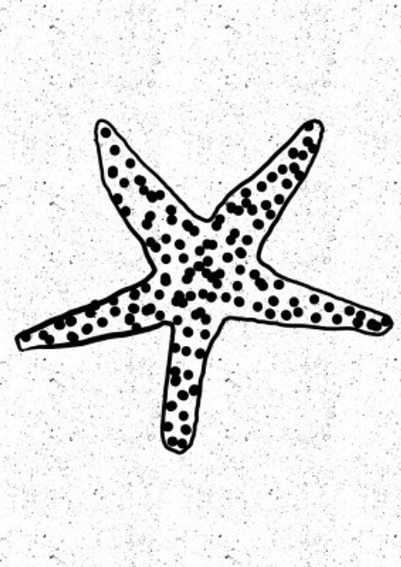 Black And White Dotted Starfish
