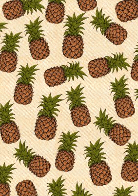 Stylized Pineapple Illustration