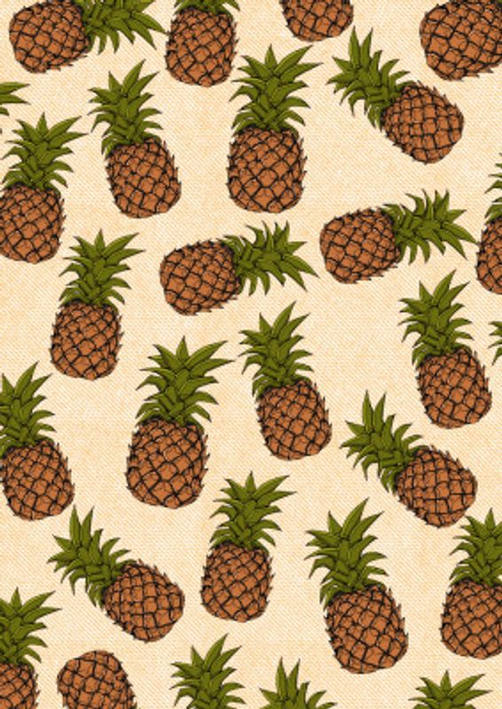 Stylized Pineapple Illustration