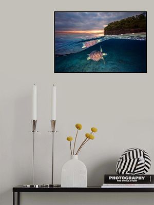 Green turtle with sunset