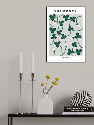 Shamrock - National flower of Ireland