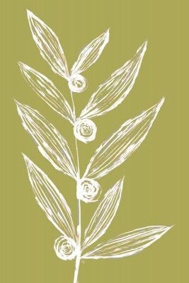 White Leaf and Floral Sketch