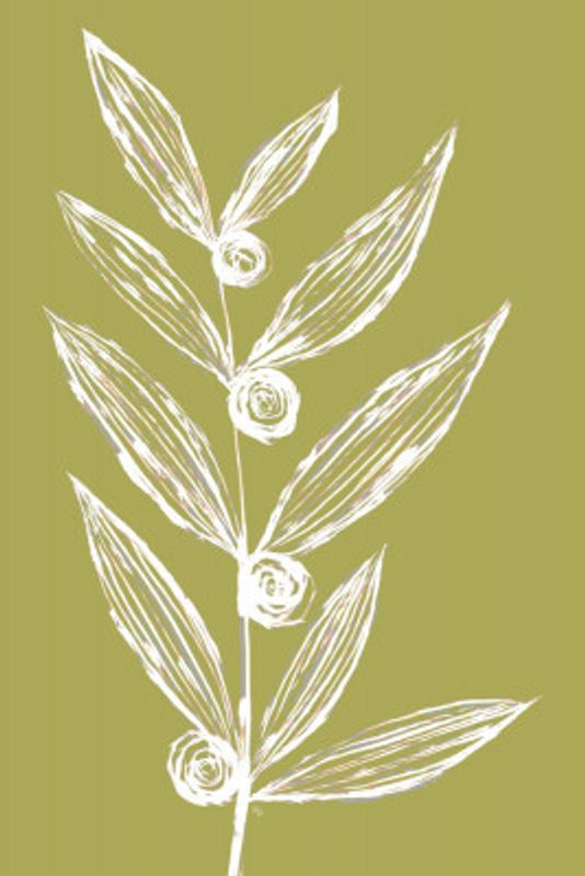 White Leaf and Floral Sketch