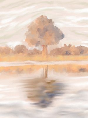 Sovereign Reflections of the Jackalberry Tree, Caprivi, Botswana