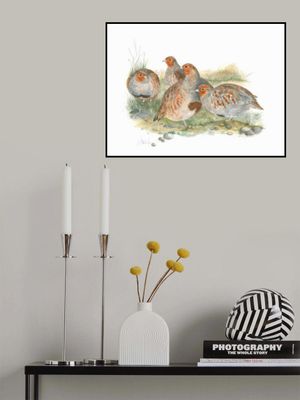 Gathering of Partridges