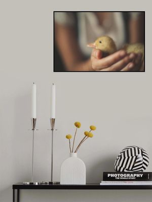 Gentle Duckling Hold