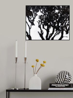 Madrona Trees At the Depot for Jackson