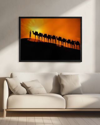 Camel on the desert  sunset