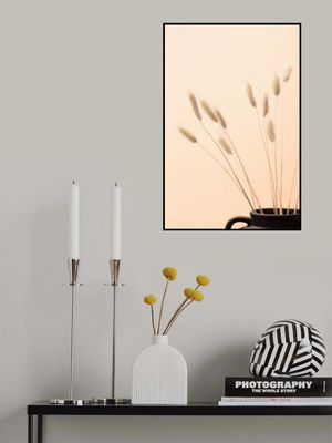 Bunny Grass Peach 01