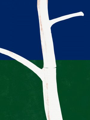 Stark White Tree Trunk With Branches