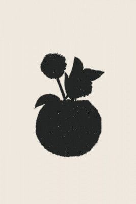 Silhouette of a Plant with Leaves