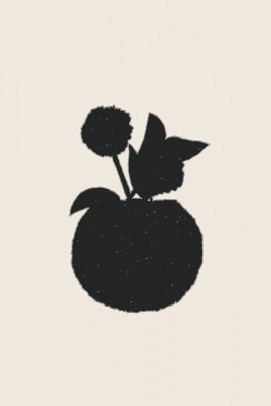 Silhouette of a Plant with Leaves