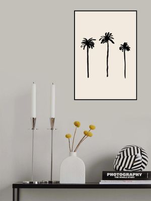 Palm Trees