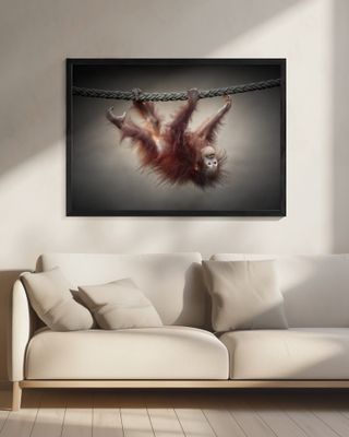 DON'T MURDER OUR PRIMEVAL FORESTS