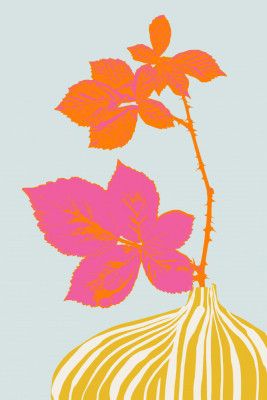 Plant based happyness Blackberry still life