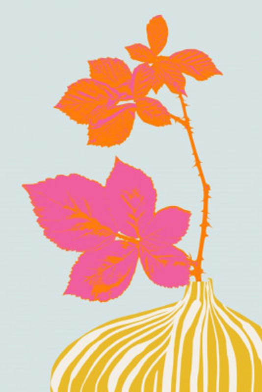 Plant based happyness Blackberry still life