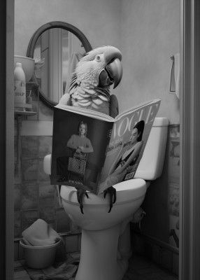Parrot In the Toilet