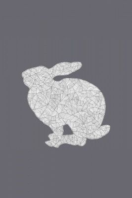 10 Cool Grey Rabbit 02