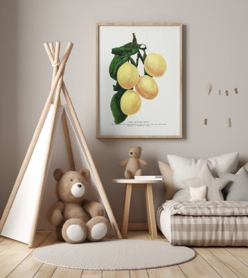 Coe's Golden Drop Plum Lithograph