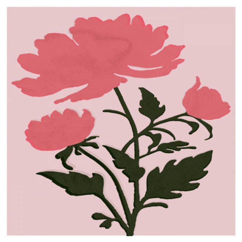 Peonies and Green Grace