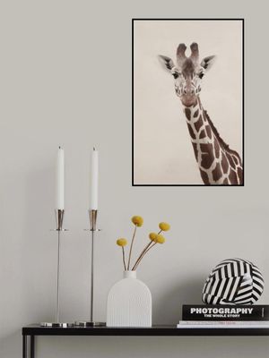 Giraffe Portrait