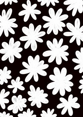 Marguerite Flowers on Black