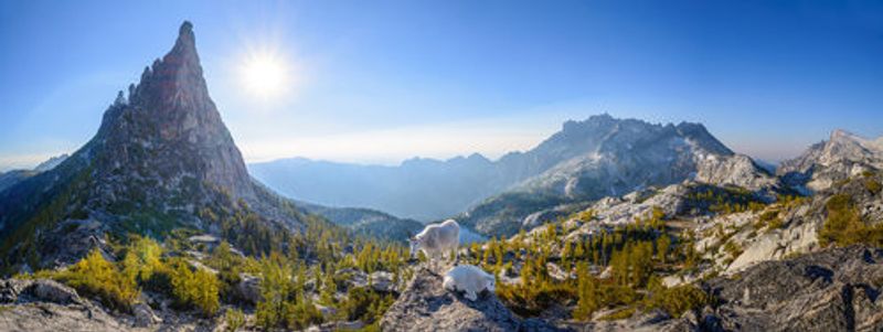 Enchantment: Prusik Pass Panorama